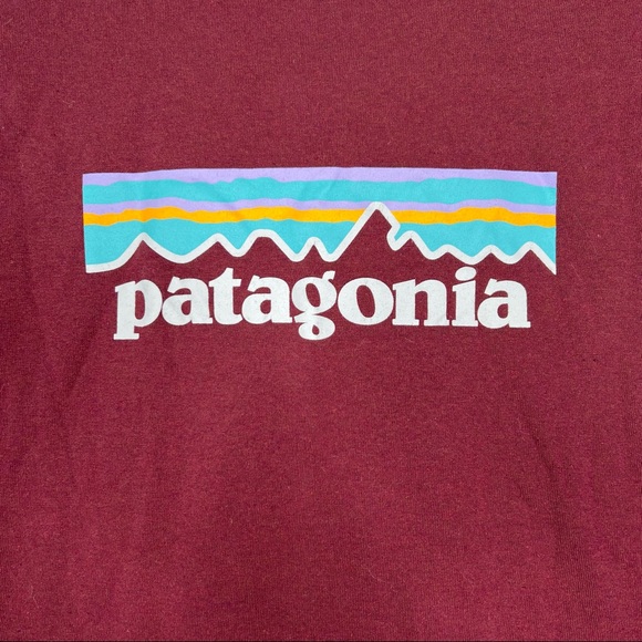 Patagonia regular fit P-6 logo Reponsibili-tee Crew Neck T-Shirt Size Small - Picture 5 of 7
